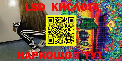 стафф Новозыбков