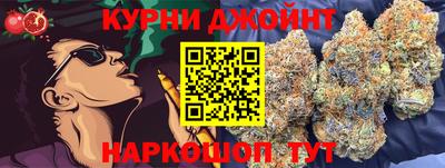 ешки Новодвинск