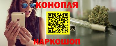 стафф Новозыбков