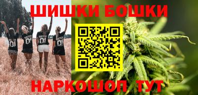 ешки Новодвинск