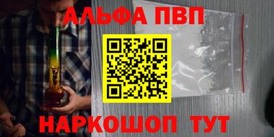 стаф Новокубанск